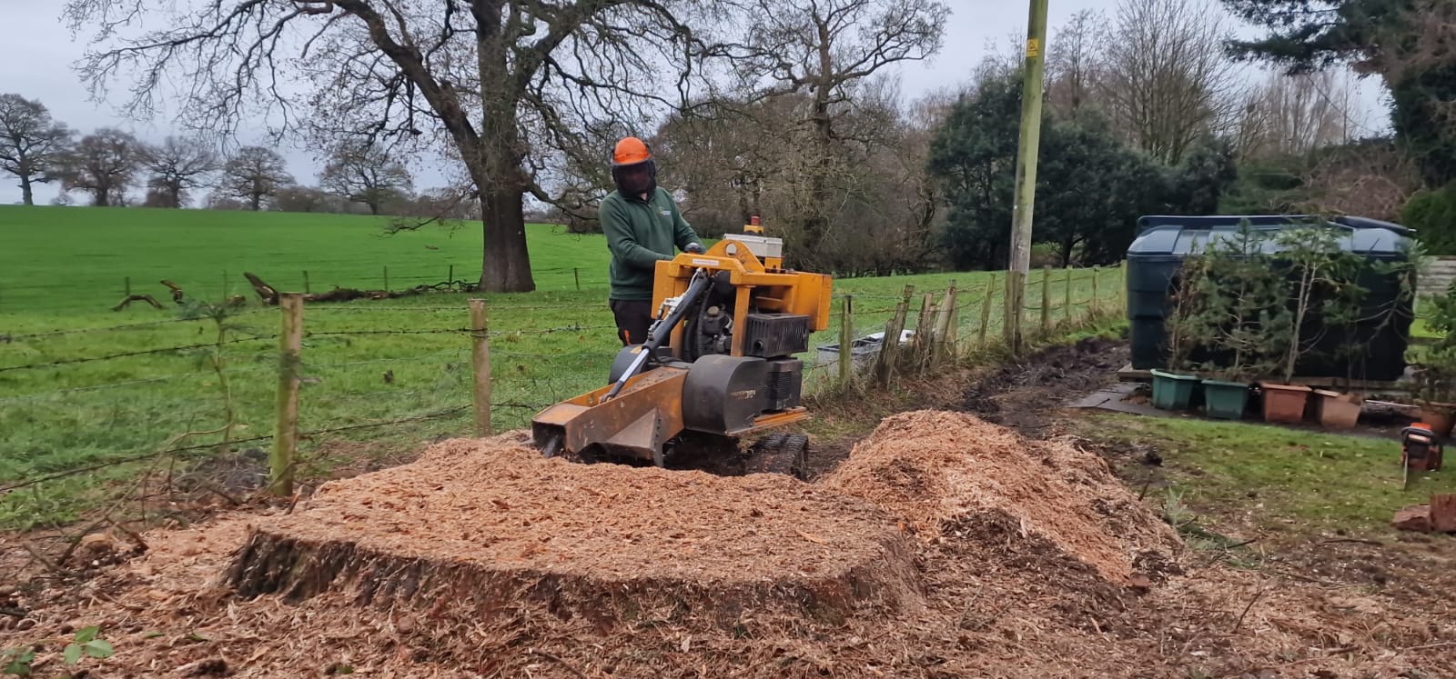 Tree stump removal in Ealing with professional stump grinder